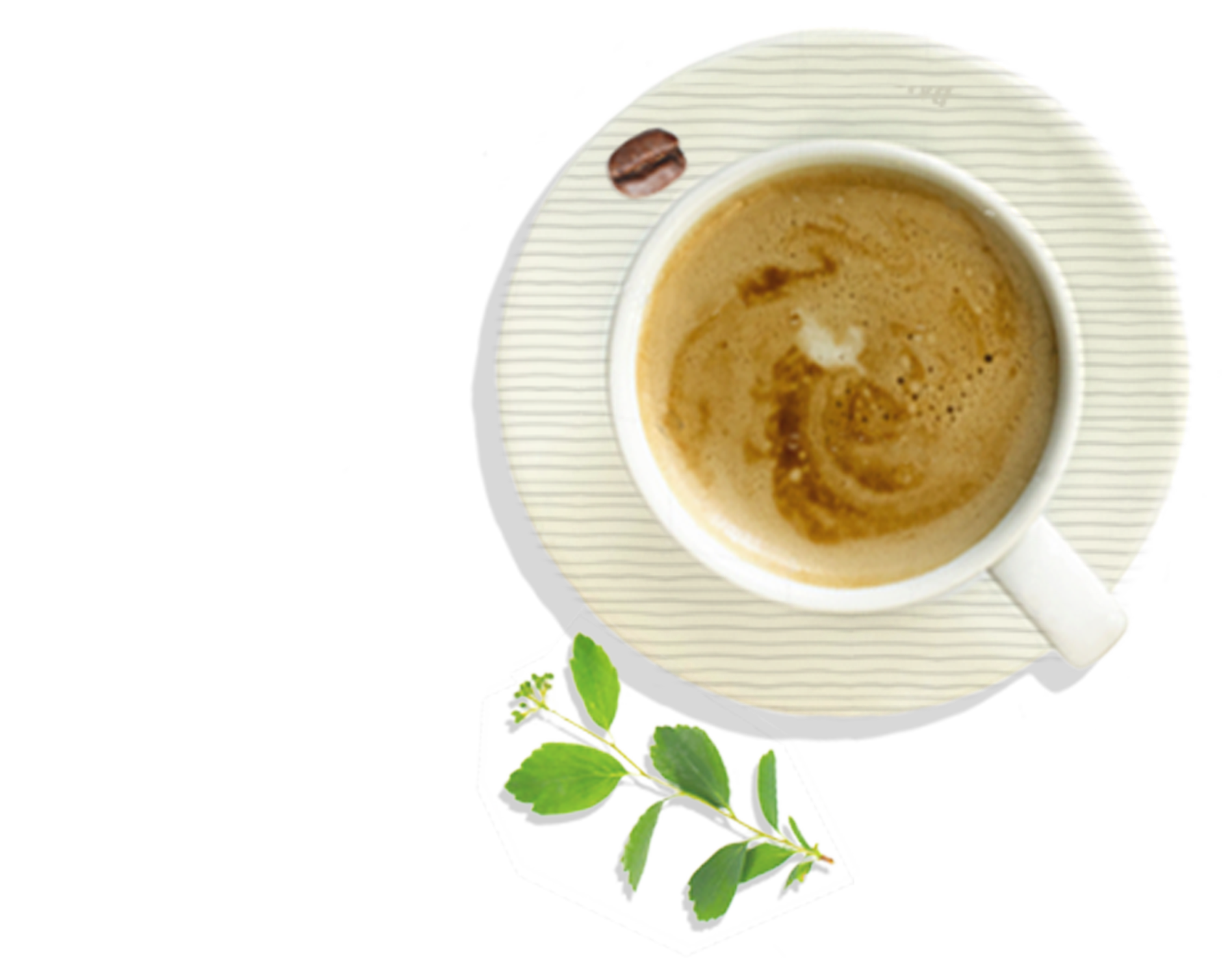 coffeecup_leaf